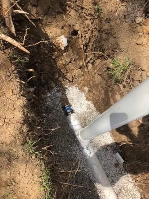 Damaged sewer line