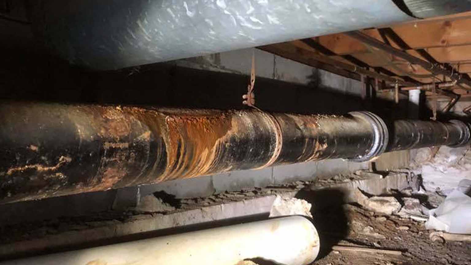 Damaged sewer line